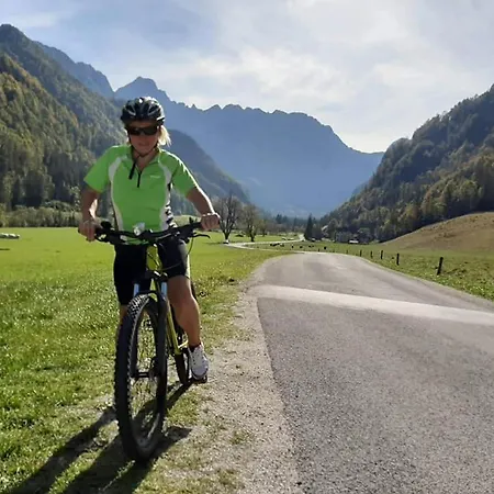 Апартаменты & Jurcek Luce